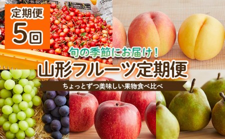 【定期便5回】ちょっとずつ美味しい果物食べ比べ定期便 【令和6年産先行予約】FU22-068