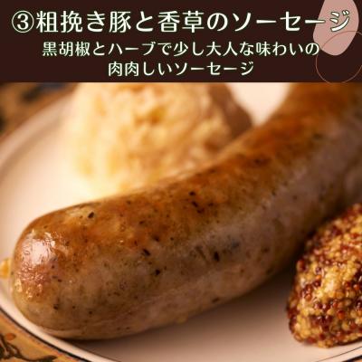 ふるさと納税 京都市 【ジャングルケイブ】肉感たっぷり 手作り無添加ソーセージ3種(各約100g) |  | 03