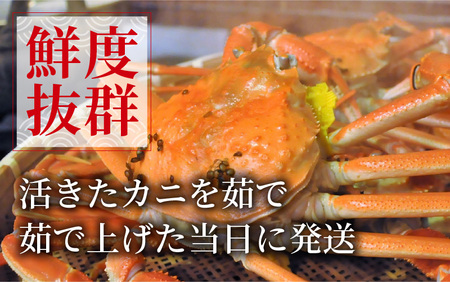 【先行予約】越前がに 大 (約1.1kg以上)×1杯【11月～12月発送】