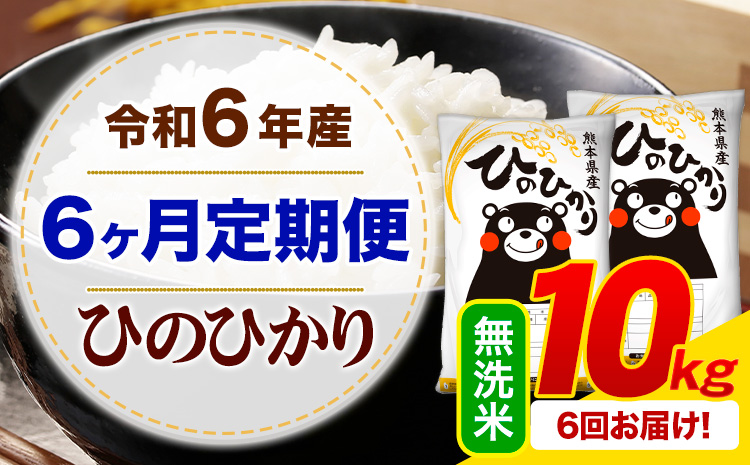 【6ヶ月定期便】令和6年産 無洗米 ひのひかり 定期便 10kg《お申込み月の翌月から出荷開始》令和6年産 熊本県産 ふるさと納税 精米 ひの 米 こめ ふるさとのうぜい ヒノヒカリ コメ お米---mifune_lcl_121_mo6num1---