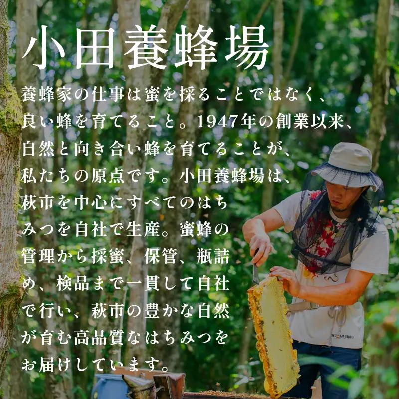 純粋天然 山口のはちみつ600g 2本