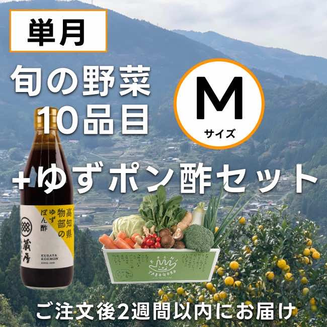
            高知の野菜（10品目）＋ゆずポン酢セット ／ 野菜 やさい ゆずポン酢 ゆずぽん酢 柚子ポン酢 柚子ぽん酢 セット 旬野菜 高知県 香美市 冷蔵
          