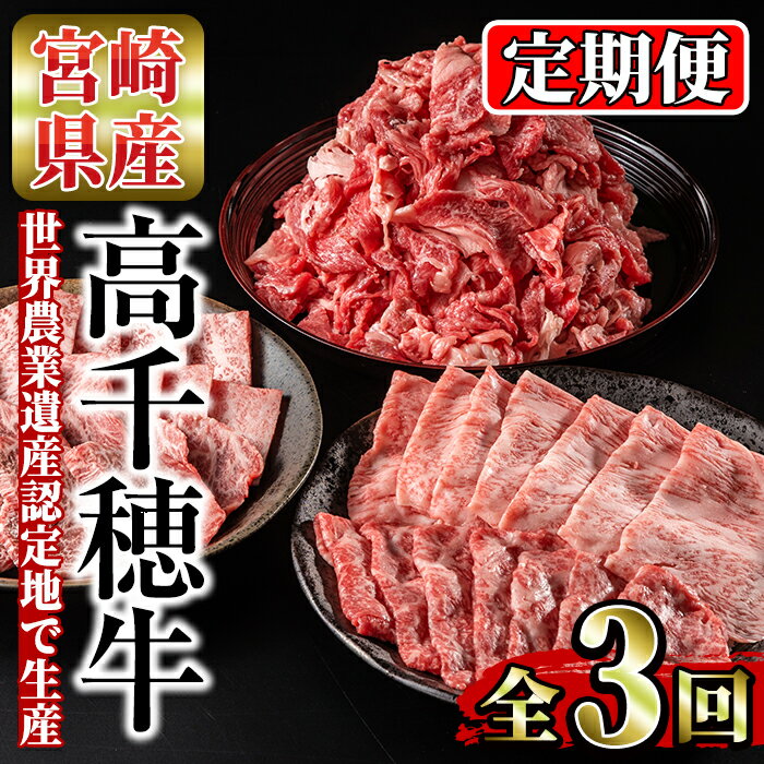 【ふるさと納税】＜定期便・3回(連続)＞高千穂牛・定期便(3ヶ月)国産 宮崎県産 宮崎牛 牛肉 煮込み料理 小間切れ すきやき 焼肉 霜降り A4 和牛【MT009】【JAみやざき 高千穂牛ミートセンター】