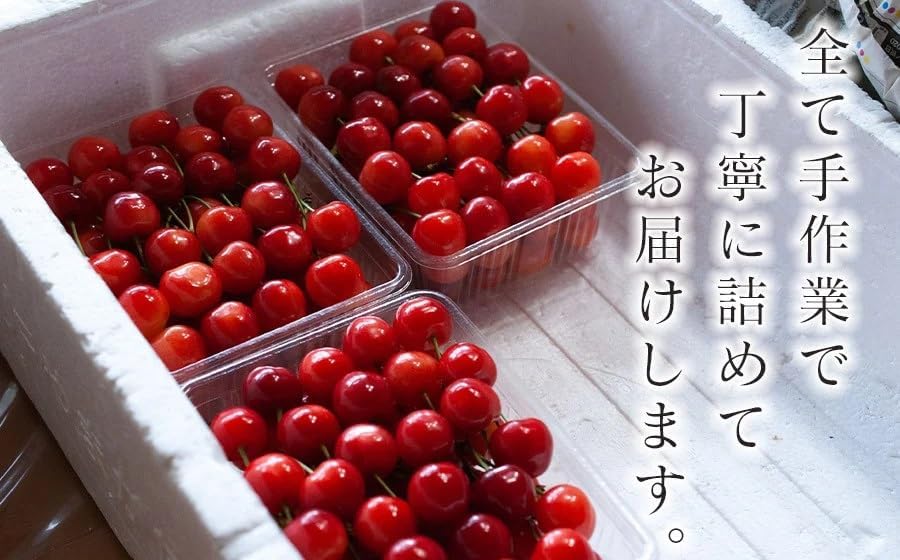 【令和9年産先行予約】 さくらんぼ 「紅秀峰」 バラ詰め 2Lサイズ 500g 山形県鶴岡産　鈴木弥吉さくらんぼ園　K-939 | サクランボ チェリー 紅秀峰 果物 くだもの フルーツ 500グラム