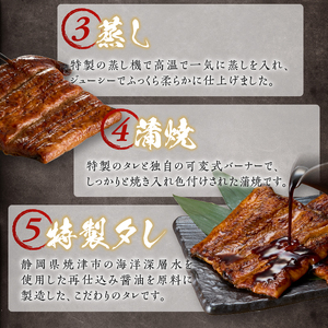 a20-226　静岡産うなぎ「静岡ご鰻悦」