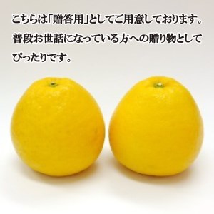 【贈答用】先行予約 愛南育ち 河内晩柑 吉田農園 愛南産 河内晩柑 約5kg 柑橘 フルーツ 河内晩柑 お中元 ギフト プレゼント 河内晩柑 愛媛県 愛南町 発送期間：2024年4月上旬～8月上旬 (