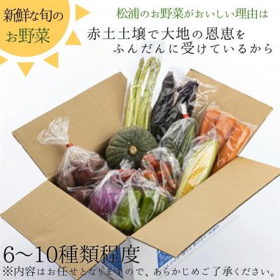 ふるさと納税 松浦市 直売所から直送!季節の野菜詰合せ |  | 03