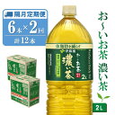 【ふるさと納税】【隔月2回定期便】おーいお茶濃い茶 2L×6本(合計2ケース)【伊藤園 お茶 緑茶 濃い 渋み まとめ買い 箱買い ケース買い カテキン 2倍 体脂肪】A3-R071369