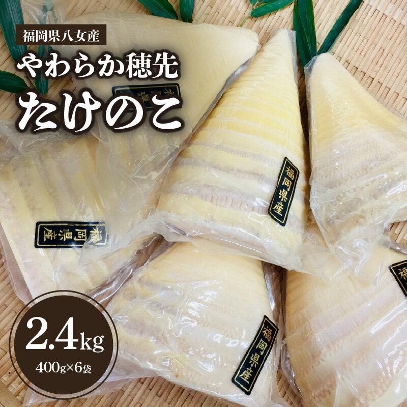 【ふるさと納税】福岡県八女産 やわらか穂先たけのこ 400g×6袋｜【出荷時期】2026年5月以降 国産 九州産 タケノコ 筍 福岡県 八女市