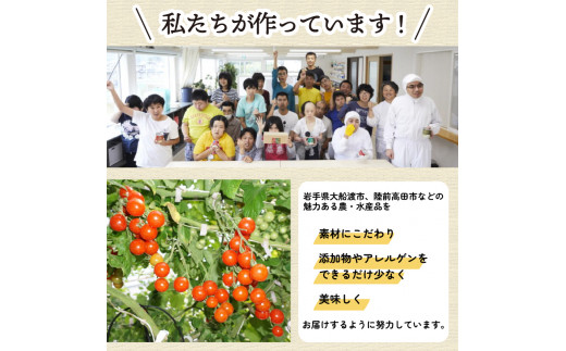 トマさんソース4種セット1.2kg ミートソース カレー グリーンカレー ほうれん草カレー とまと トマト 野菜 さかな 秋刀魚 さんま 海鮮 惣菜 缶詰 常温 備蓄 災害 防災 常温保存 長期保存 簡単 お手軽 支援 震災 火災 被災 岩手県 大船渡市