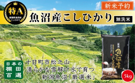 
                  【無洗米】【令和8年産新米予約】【食味鑑定士厳選】　日本の棚田百選　新潟県十日町（魚沼）産　コシヒカリ５kg(5kg×1)
                