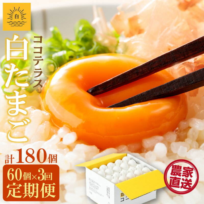 【ふるさと納税】【3ヵ月定期便】ココテラスの朝日（ 白たまご ）55個 + 5個保証【計60個】【 JGAP認証 】農家直送 新鮮 卵 純植物性飼料 飼料にこだわった 卵かけご飯 米たまご 大容量 卵 定期 送料無料