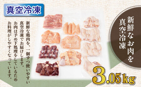 TRT06 若鶏まるごと 3.05kgセット