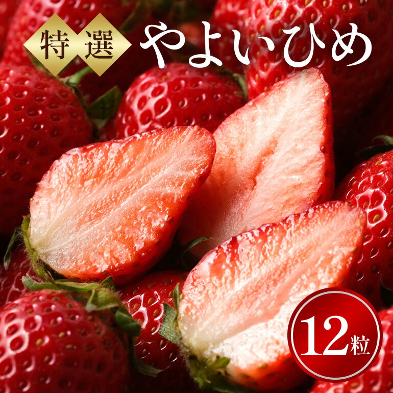 【ふるさと納税】特選12玉　やよいひめ いちご イチゴ フルーツ 果物 茨城県 石岡市 A32-019