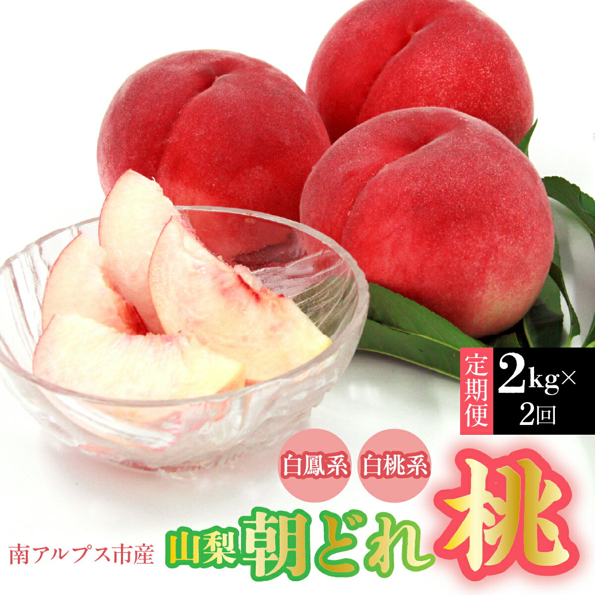 【ふるさと納税】【2026年発送先行予約】南アルプス市産・山梨朝どれ桃2kg×2回配送（白鳳系・白桃系） 定期便 2回（クール便）ふるさと納税 もも　桃 果物 フルーツ おすすめ 山梨県 南アルプス市 送料無料 ALPDD027