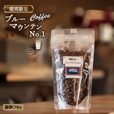 ふるさと納税 筑紫野市 コーヒー豆「ブルーマウンテンNo.1」100g
