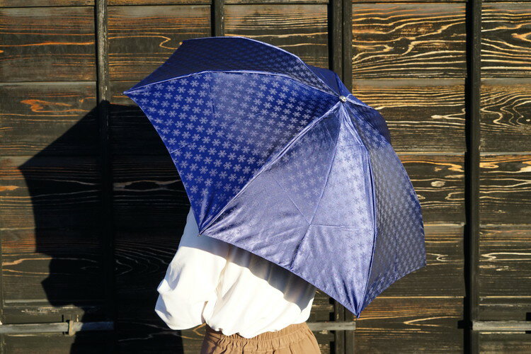 【ふるさと納税】雪華模様の折り畳み傘（サイズ55cm）カラー：ネイビー | おしゃれ 傘 かさ 折りたたみ傘 55センチ 雨具 メンズ レディース 兼用 雪の結晶 ネイビー 紺 おしゃれ かわいい 雨 梅雨 贈答 贈り物 プレゼント 父の日 母の日 お祝 ご褒美 お中元 お歳暮 景品_BL02