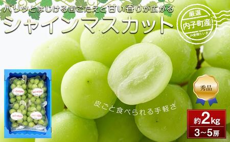 【先行予約】内子町産 シャインマスカット 青秀以上 3～5房 約2kg ★2025年8月下旬から発送★｜ｼｬｲﾝﾏｽｶｯﾄ ｼｬｲﾝﾏｽｶｯﾄ ｼｬｲﾝﾏｽｶｯﾄ ｼｬｲﾝﾏｽｶｯﾄ ｼｬｲﾝﾏｽｶｯﾄ