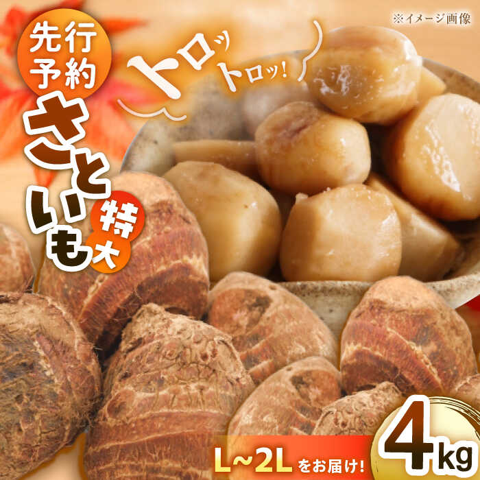 【ふるさと納税】【9月上旬より順次発送】トロトロ さといも 4kg （ L から 2L サイズ） 大洲市/沢井青果[AGBN003] 先行予約 里芋 サトイモ さといも 料理 いもたき 芋炊き 野菜 やさい 新鮮野菜 愛媛県産 大洲市産 産地直送 おすすめ 人気 お取り寄せ 送料無料 贈答 ギフト
