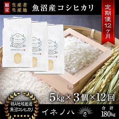 ふるさと納税 十日町市 【毎月定期便】魚沼産コシヒカリ「イネノハ」精米(5kg×3個)×12回【合計180kg】全12回