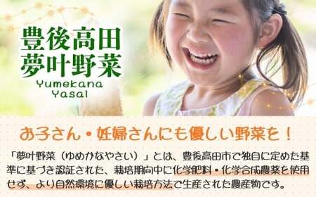 野菜 旬の野菜セット|豊後高田市