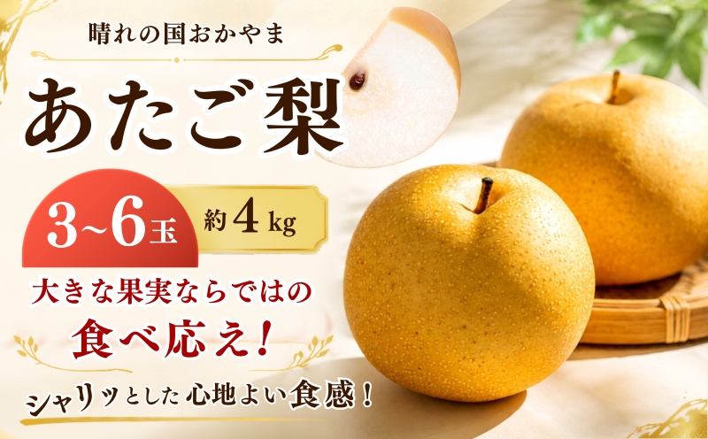 梨 岡山県産 あたご梨 3～6玉 約4kg | 愛宕梨 梨 贈り物 御歳暮 果物 くだもの フルーツ 和梨 マルトウ促成青果【mrts004-01】