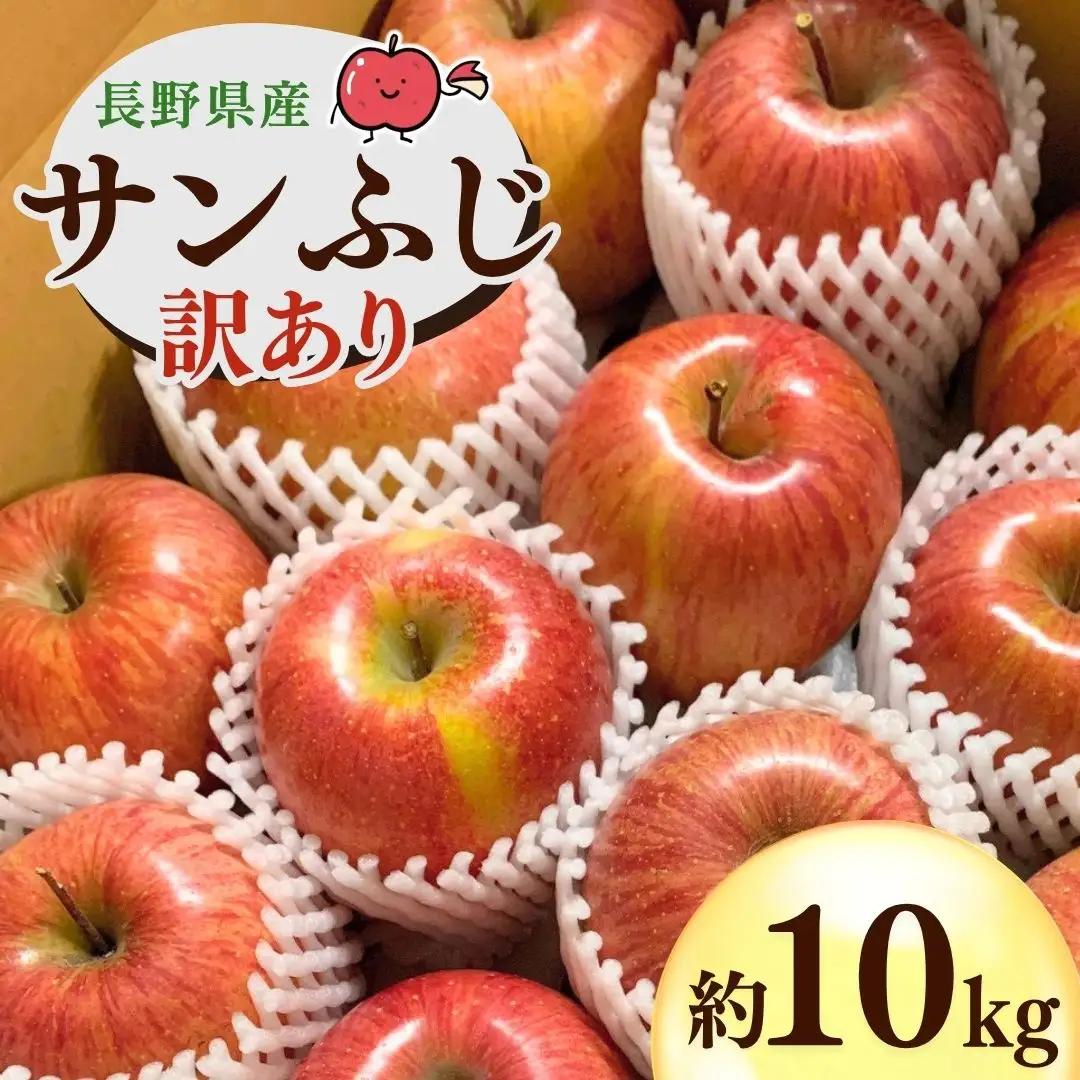 【2026年先行予約】りんご 訳あり サンふじ 約10kg | りんご