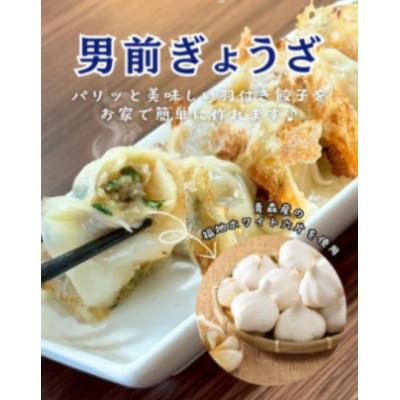 ふるさと納税 大垣市 生ぎょうざ専門店「新家」の餃子 2種セット 計70個(生餃子40個 /男前ぎょうざ30個) |  | 01