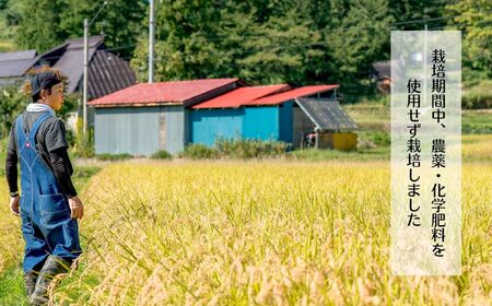 【令和７年産 新米】 七〇八米 ササニシキ 精米 5kg [栽培期間中 農薬・化学肥料不使用] (7-83) お米 コメ 白米 ご飯 長野県 信州 飯山市 新米 令和7年 ささにしき 産地直送 農家直