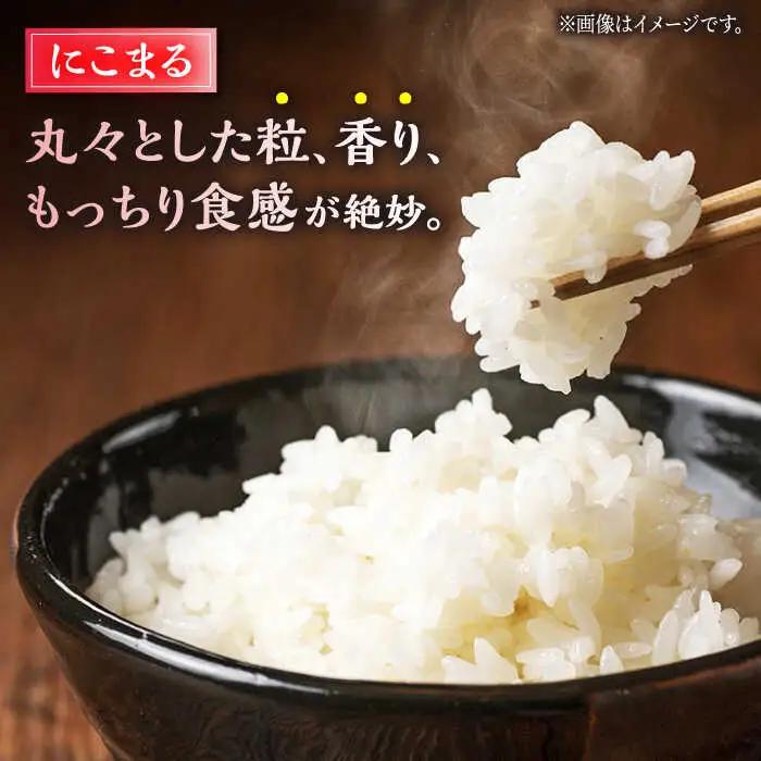〈令和7年度産米〉【3回定期便】 ヒノヒカリ・にこまる 白米 食べ比べ 計10kg（5kg×2袋）【竹下農園】[ZEL011]