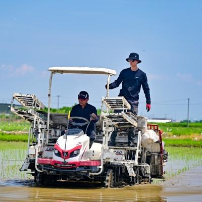 ふるさと納税 羽島市 令和7年産　岐阜県産ハツシモ(精米)10kg  国産 米 |  | 01