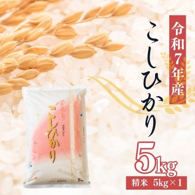 ふるさと納税 福島市 大文字屋米穀店【令和7年産】コシヒカリ精米 5kgNo.2382