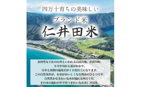 【令和7年産米】 四万十の美味しい特選仁井田米（香り米50％入り）定期便【5kg×3回】にこまる／Sbmu-E17
