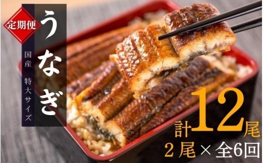 
                  【6回定期便】【毎月お届け】大型サイズ ふっくら柔らか 国産うなぎ蒲焼き 2尾×6回 計12尾 約2040g / 定期便 うなぎ 鰻 国産 蒲焼 蒲焼き うな重 うな丼 ひつまぶし たれ 人気 贈答 贈り物 ギフト プレゼント お祝い 冷凍便 クール便 【tkb310】
                