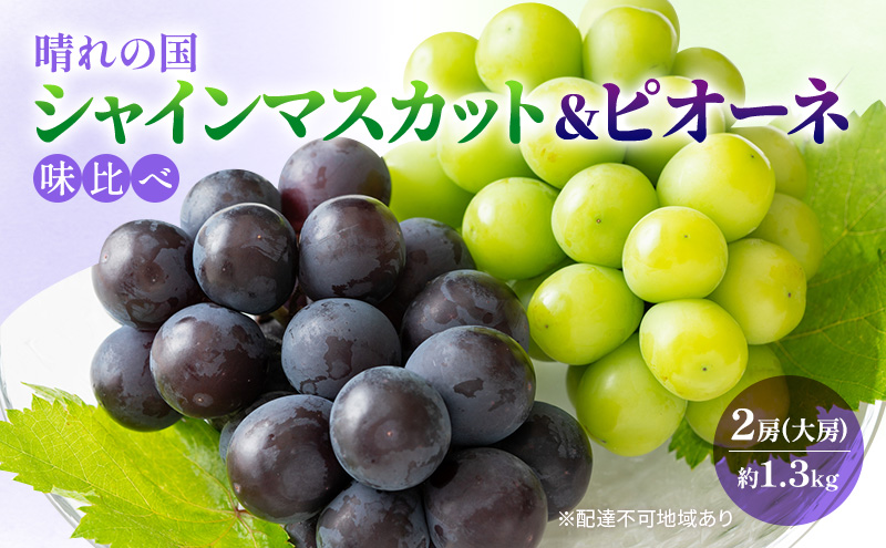 ぶどう 晴れの国 シャインマスカット&ピオーネ 味比べ 2房（大房） 化粧箱入り 岡山県 高梁市 ブドウ 葡萄 果物 フルーツ 