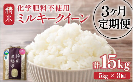 【先行予約】【令和8年産】定期便 ≪3ヶ月連続お届け≫ 化学肥料不使用 特別栽培米 ミルキークイーン 精米 5kg × 3回（合計15kg） / 白米 米 福井県あわら市産 美味しい 特別栽培米 減農