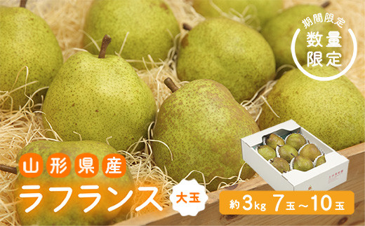 
            《先行予約 2025年度発送》【王将果樹園】ラフランス大玉3kg～生産量日本一のまちより～  なし ナシ 梨 デザート フルーツ 果物 くだもの 果実 食品 山形県 FSY-1899
          