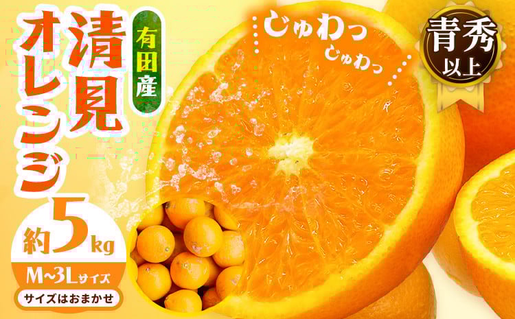
            【濃厚】有田産 清見 オレンジ 約 5kg（M～3Lサイズおまかせ）青秀以上 日高町厳選館《2025年2月中旬-3月末頃より出荷予定》和歌山県 日高町 柑橘 果物 フルーツ 清見オレンジ
          