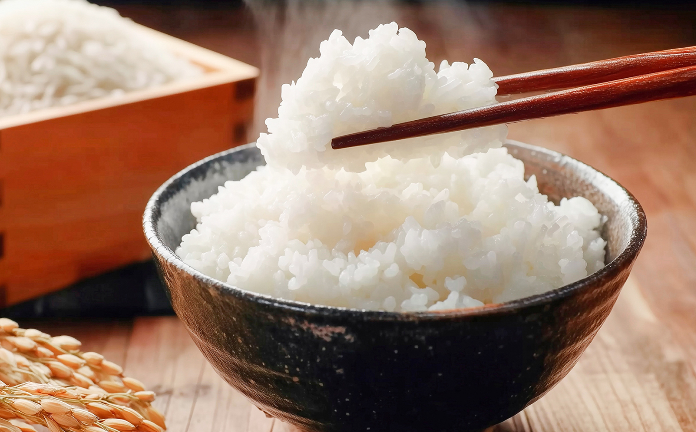 【先行受付】【全3回定期便】 にじのきらめき 白米 5kg 【2026年9月中旬以降順次発送】糸島市産 糸島市 / 糸島の恵み コメ こめ ご飯 [AGR015]