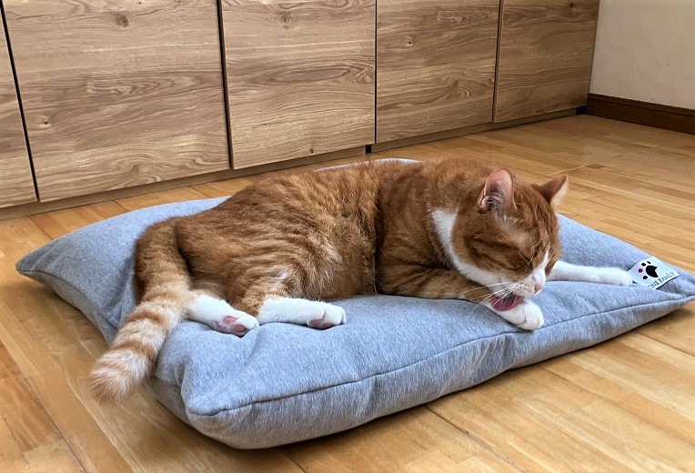 【たっぷり!!リアルダウン使用】大きめ! ペット用 羽毛クッションセット ペットベッド 犬や猫が大好き!! H162-031