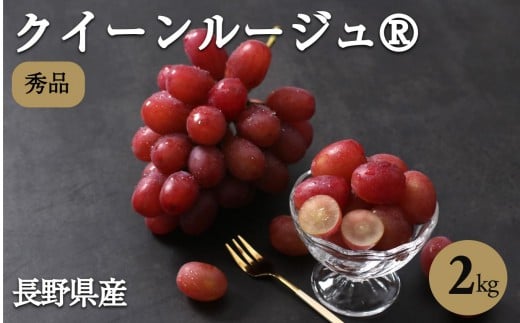 産地厳選! 長野県産 クイーンルージュ® 約2kg 秀品 〈2025年10月中旬～11月中旬発送〉 | 果物 くだもの フルーツ ぶどう ブドウ 葡萄 クイーンルージュ® 種なし 長野県 信州 南信州 飯田市