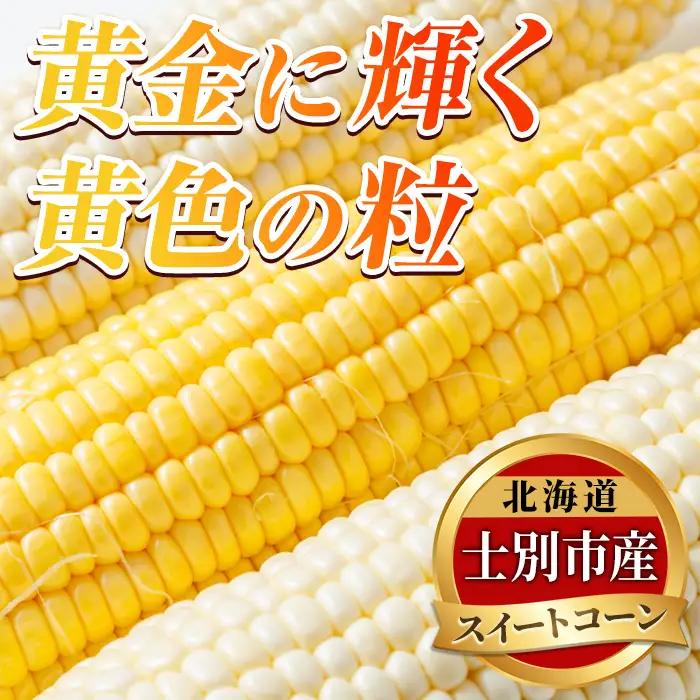 スイートコーン 品種いろいろ詰め合わせ 北海道 6本 2026年8月下旬より発送 【三栄アグリ】　A7136