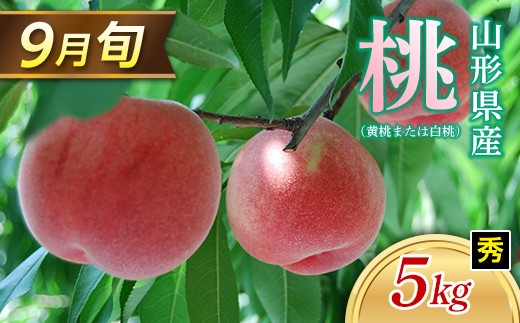 ≪2026年 先行予約≫ 9月旬の桃（白桃または黄桃）5kg 秀（小玉 20～22玉）  もも モモ 桃 デザート フルーツ 果物 くだもの 果実 食品 山形県 FSY-1329