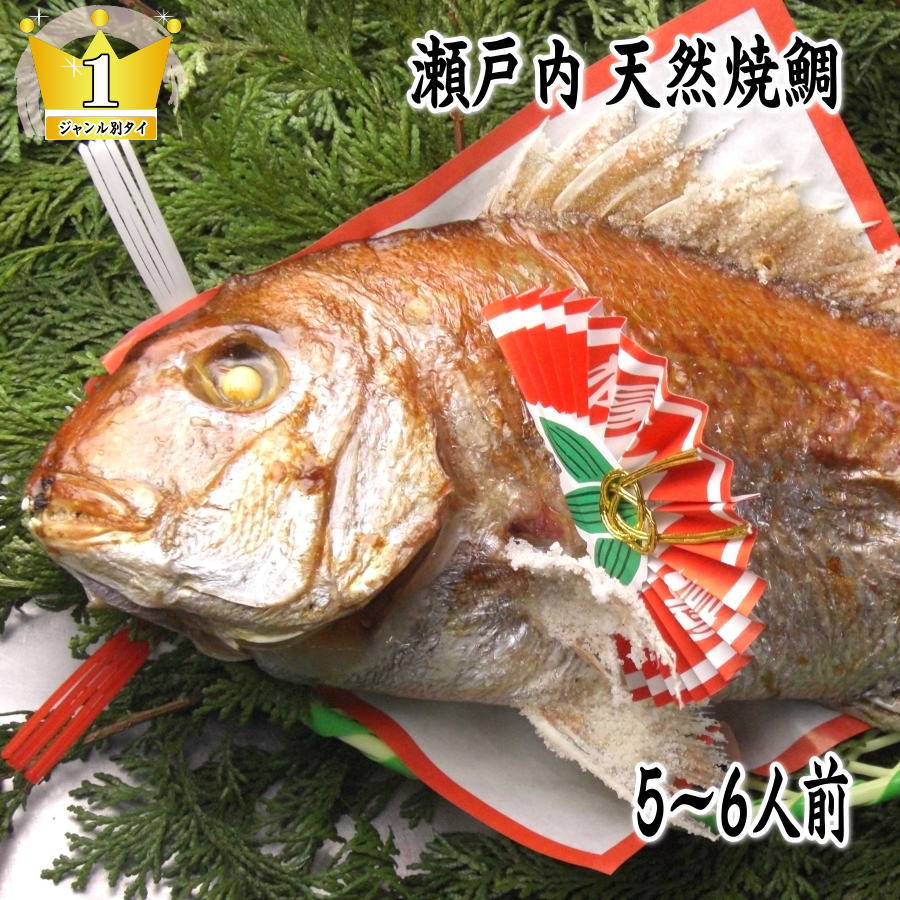 【ふるさと納税】天然祝鯛　炭火焼1kg　お届け：※12月15日申し込み分までは年内配送、16日申し込み以降は1月10日以降のお届け。