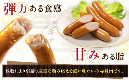 放牧豚 ウインナー 2種セット 計1kg ポーク・粗挽き 各500g ソーセージ 無添加 無塩せき [AXBA086]
