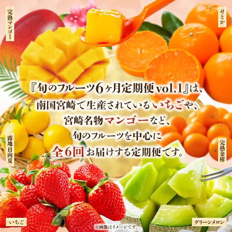 フルーツ 定期便 フルーツ[2027年発送先行予約 6ヶ月定期便 vol.1 数量限定 期間限定]