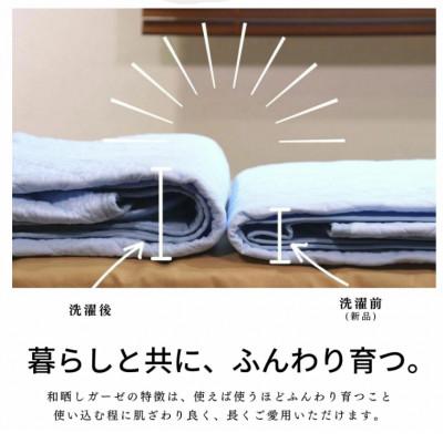 ふるさと納税 蒲郡市 三河産　綿100%和晒し脱脂綿　敷パット　SDサイズ_みずいろ_【G0497】 |  | 02