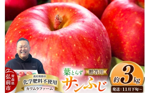 【26年11月下旬～発送】りんご 葉とらず サンふじ【贈答用】約3kg【先行受付】カワムラファーム 青森県 弘前市 果物 フルーツ 林檎 リンゴ くだもの ギフト 贈り物 [先行予約 産地直送 アップル おいしい 果実 美味 甘い 赤色]