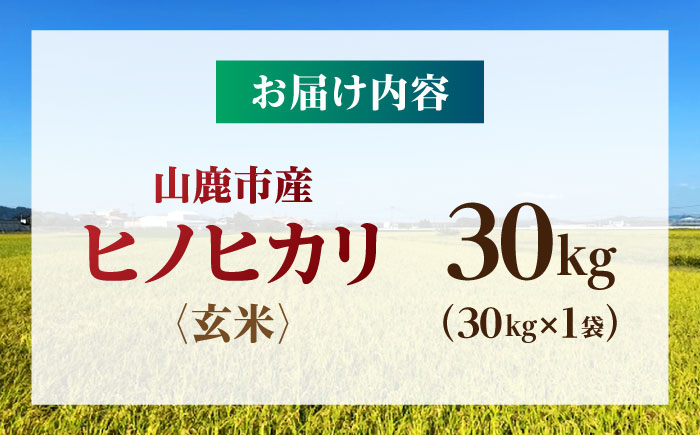 【先行予約】 令和8年度産 ヒノヒカリ 玄米 30kg 【奥村果実園】 [ZFK011]