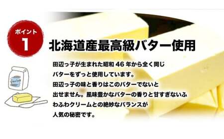 銘菓 田辺っ子（たなべっこ）12個入り×2箱 / 銘菓 お菓子 スイーツ 和菓子 個包装 小分け プレゼント ギフト ご家庭用 贈答 和歌山 バター クリーム お土産 お取り寄せ 田辺市【shd002